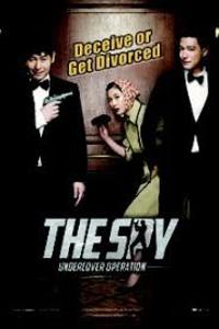 the spy undercover operation in hindi movie download