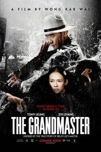 the grandmaster in hindi 480p 720p