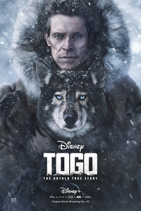 togo movie dual audio download 480p 720p