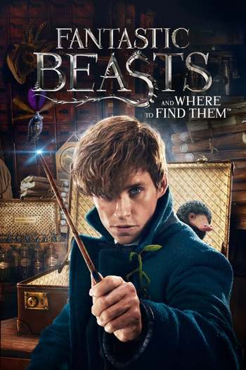 Fantastic Beasts and Where to Find Them Movie Dual Audio downlaod 480p 720p