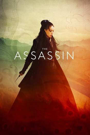 The Assassin movie dual audio download 480p 720p 1080p