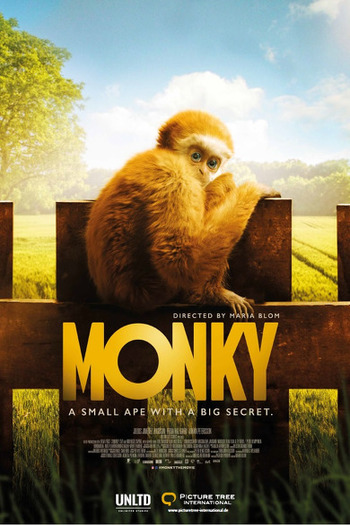 Monky movie dual audio download 480p 720p