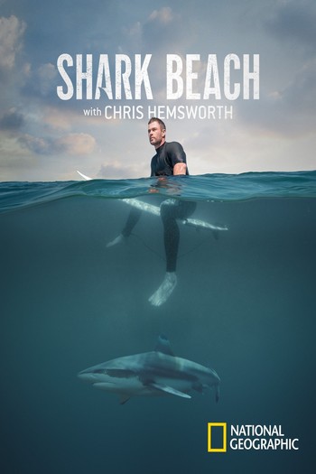 Shark Beach with Chris Hemsworth movie dual audio download 720p
