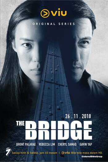 The Bridge series season 1-2-3-4 dual audio download 720p